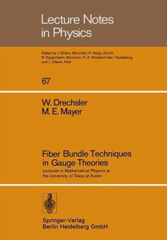 Fiber Bundle Techniques in Gauge Theories - Drechsler, W.;Mayer, M. E.
