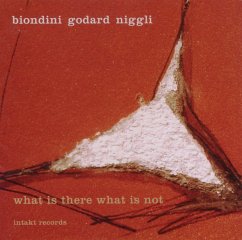 What Is There What Is Not - Biondini/Godard/Niggli