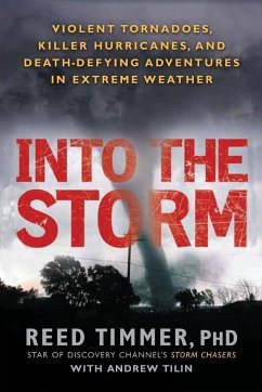 Into the Storm - Timmer, Reed; Tilin, Andrew
