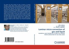 Laminar micro-convection of gas and liquid