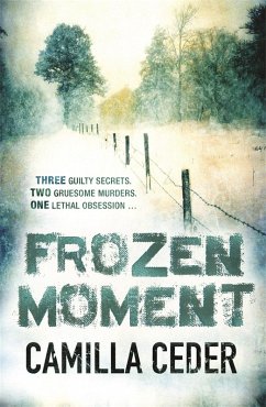 Cover Frozen Moment