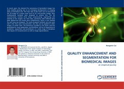 QUALITY ENHANCEMENT AND SEGMENTATION FOR BIOMEDICAL IMAGES - Cai, Hongmin