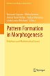 Pattern Formation in Morphogenesis - Bild 1