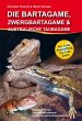 Die Bartagame, Zwergbartagame &... - Bild 1