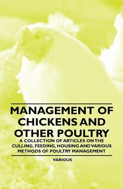 Management of Chickens and Other Poultry - A Collection of Articles on the Culling, Feeding, Housing and Various Methods of Poultry Management - Various