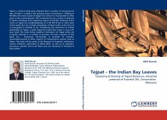 Tejpat - the Indian Bay Leaves