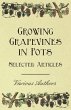 Growing Grapevines in Pots - Selected... - Bild 1