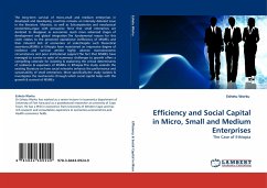 Efficiency and Social Capital in Micro, Small and Medium Enterprises - Worku, Eshetu