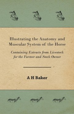 Illustrating the Anatomy and Muscular System of the Horse - Containing Extracts from Livestock for the Farmer and Stock Owner - Baker, A. H.