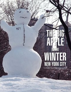 Big Apple In The Winter - Yildirim-Faraguna, Gunsel