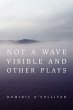 Not a Wave Visible and other plays - Bild 1