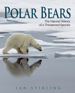 Polar Bears - Stirling, Ian