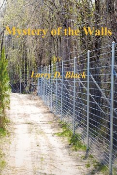 Mystery of the Walls - Black, Larry