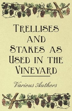 Trellises and Stakes as Used in the Vineyard