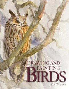 Drawing and Painting Birds - Wootton, Tim