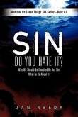 Sin- Do You Hate It?