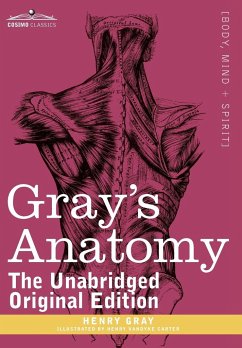 Gray's Anatomy - Gray, Henry