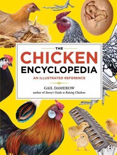 The Chicken Encyclopedia - Damerow, Gail