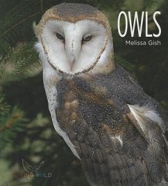 Owls - Gish, Melissa