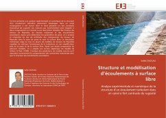 Structure et modélisation d¿écoulements à surface libre - ZAOUALI, Sahbi