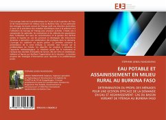 EAU POTABLE ET ASSAINISSEMENT EN MILIEU RURAL AU BURKINA FASO - Lienou Ngadjoueng, Stephane