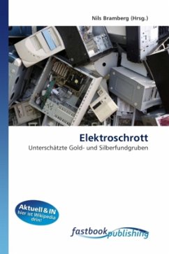 Elektroschrott - Bramberg, Nils