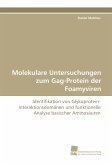 Molekulare Untersuchungen zum Gag-Protein der Foamyviren