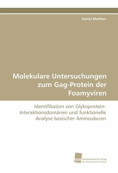 Molekulare Untersuchungen zum Gag-Protein der Foamyviren - Matthes, Daniel