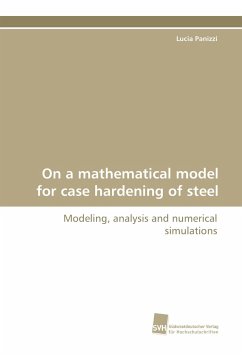 On a mathematical model for case hardening of steel - Panizzi, Lucia