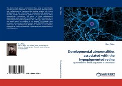 Developmental abnormalities associated with the hypopigmented retina