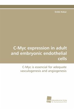 C-Myc expression in adult and embryonic endothelial cells - Kokai, Enikö