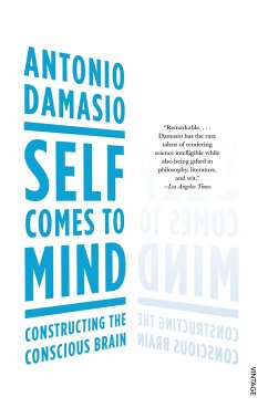 Self Comes to Mind - Damasio, Antonio