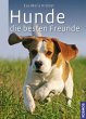 Hunde, die besten Freunde - Bild 1