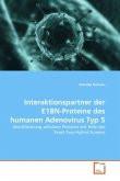 Interaktionspartner der E1BN-Proteine des humanen Adenovirus Typ 5