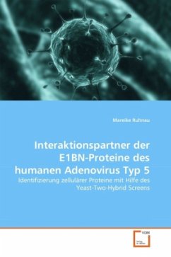 Interaktionspartner der E1BN-Proteine des humanen Adenovirus Typ 5 - Ruhnau, Mareike