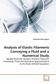 Analysis of Elastic Filaments Conveying a Fluid and a Numerical Study