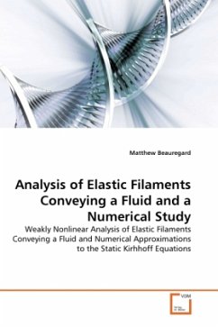 Analysis of Elastic Filaments Conveying a Fluid and a Numerical Study - Beauregard, Matthew