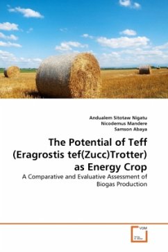 The Potential of Teff (Eragrostis tef(Zucc)Trotter) as Energy Crop - Nigatu, Andualem Sitotaw;Mandere, Nicodemus;Abaya, Samson