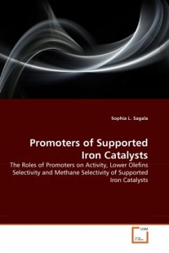 Promoters of Supported Iron Catalysts - Sagala, Sophia L.