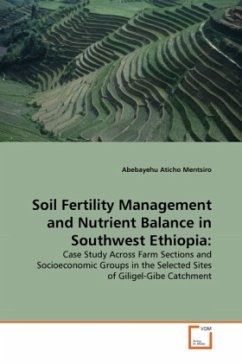 Soil Fertility Management and Nutrient Balance in Southwest Ethiopia: - Mentsiro, Abebayehu Aticho
