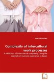 Complexity of intercultural work processes