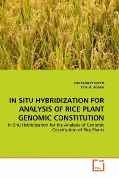 IN SITU HYBRIDIZATION FOR ANALYSIS OF RICE PLANT GENOMIC CONSTITUTION - Perveen, Farzana;Abbasi, Fida M.