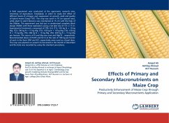 Effects of Primary and Secondary Macronutrients on Maize Crop