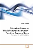 Elektrolumineszenz-Untersuchungen an GaInN-Facetten-Quantenfilmen