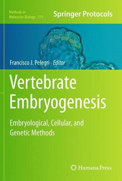 Vertebrate Embryogenesis