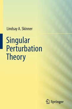 Singular Perturbation Theory - Skinner, Lindsay A.