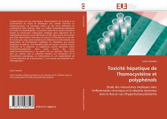 Toxicité hépatique de l''homocystéine et polyphénols - Hamelet, Julien
