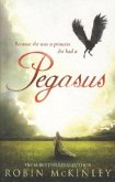 Pegasus. Robin McKinley