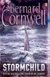Stormchild - Bild 1