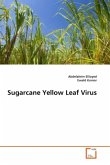 Sugarcane Yellow Leaf Virus